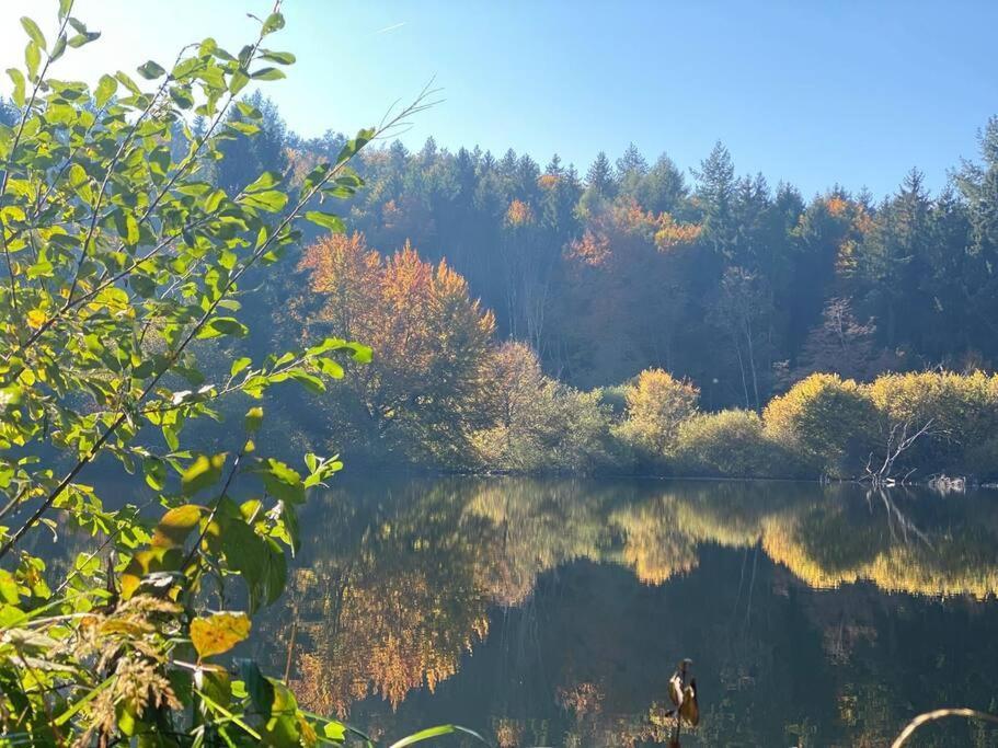 Charismatisch Und Gemuetlich In Guettingen, Nah Zum Buchensee Und Bodensee, Tolle Lage Radolfzell am Bodensee Εξωτερικό φωτογραφία